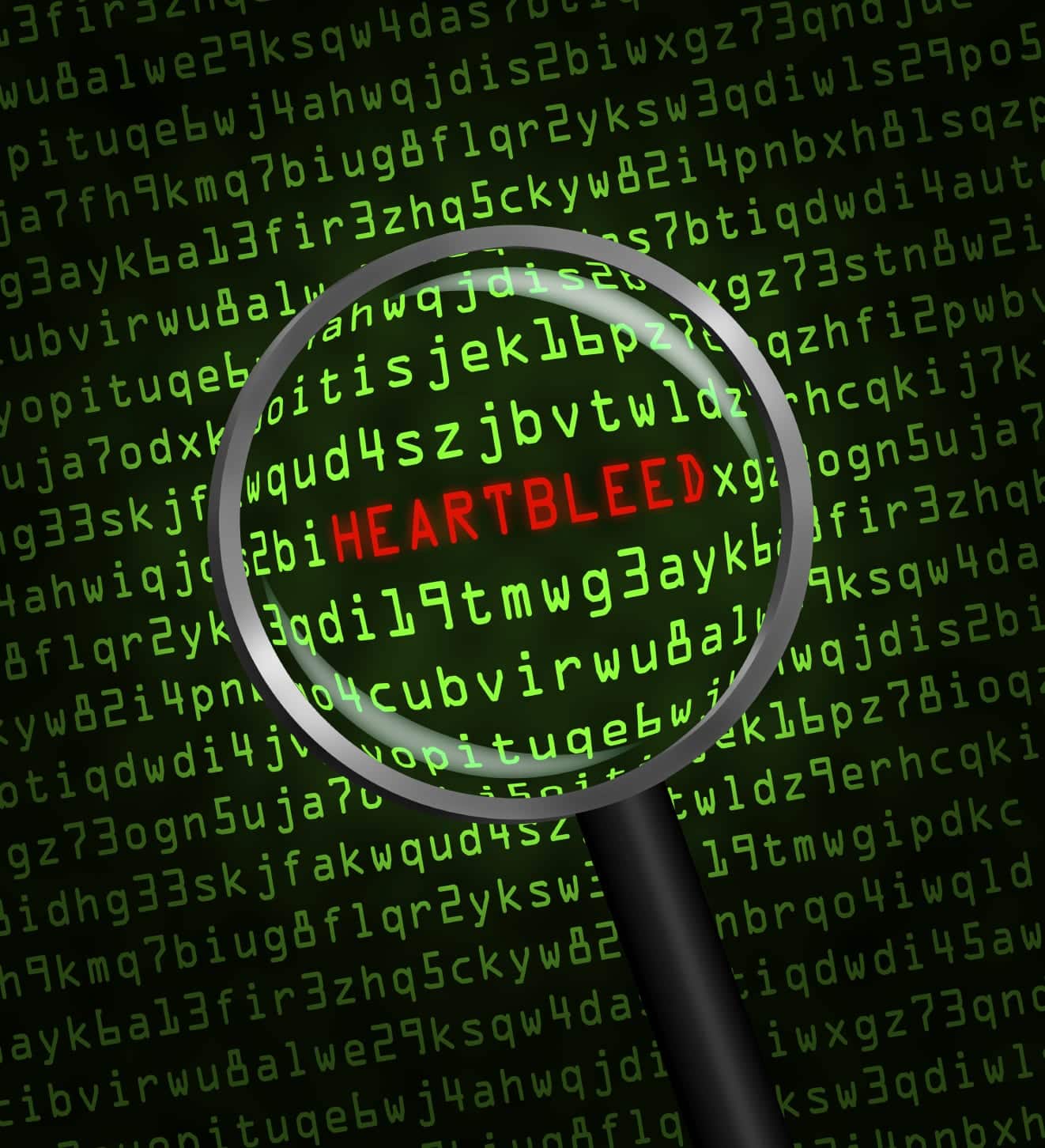 How to Protect Your Small Business from the Heartbleed Bug