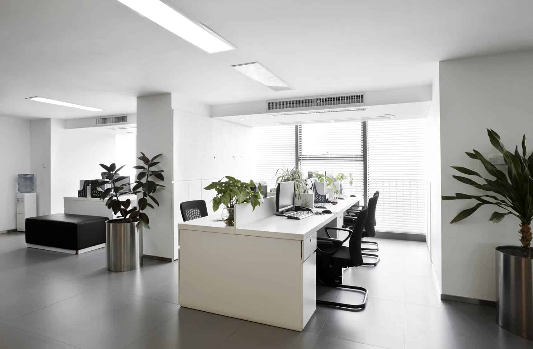 Should You Buy or Lease Your Small Business Office Space?