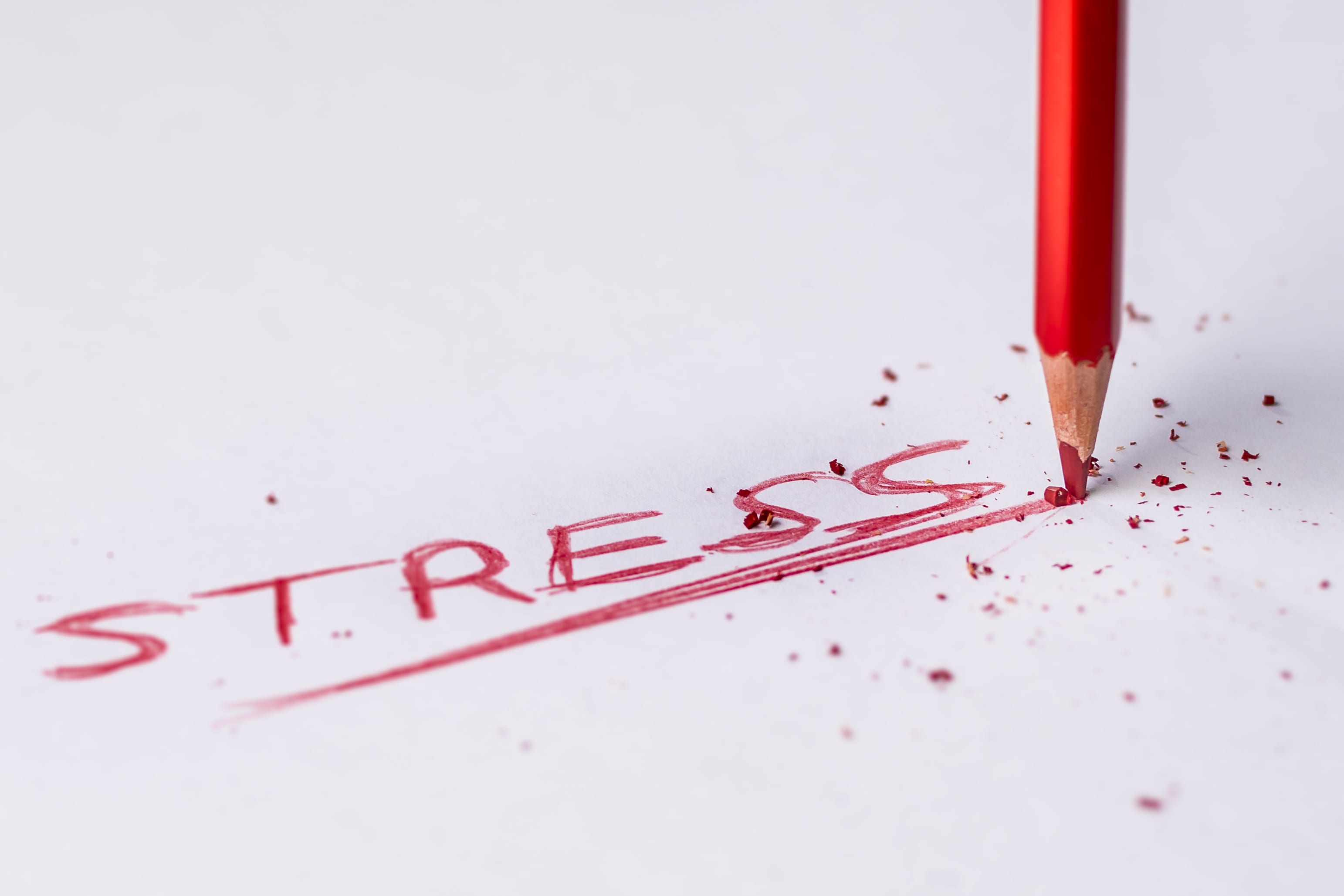 Understanding Workplace Stress and Learning How to Address It