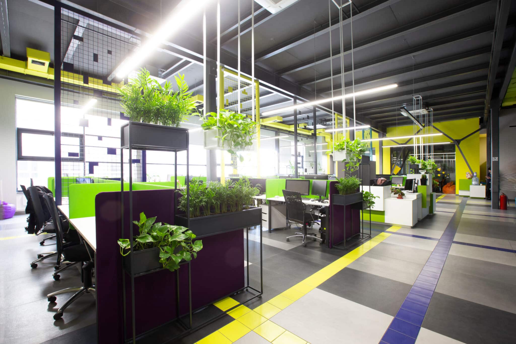 office indoor air quality - plants