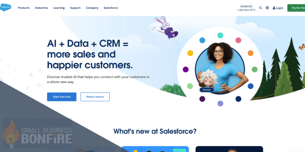 CRM Examples - Salesforce