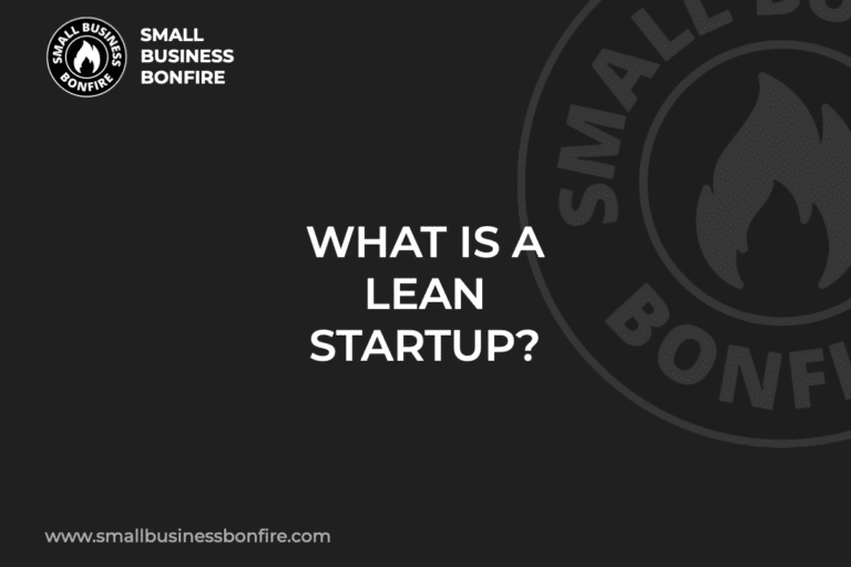 WHAT IS A LEAN STARTUP?